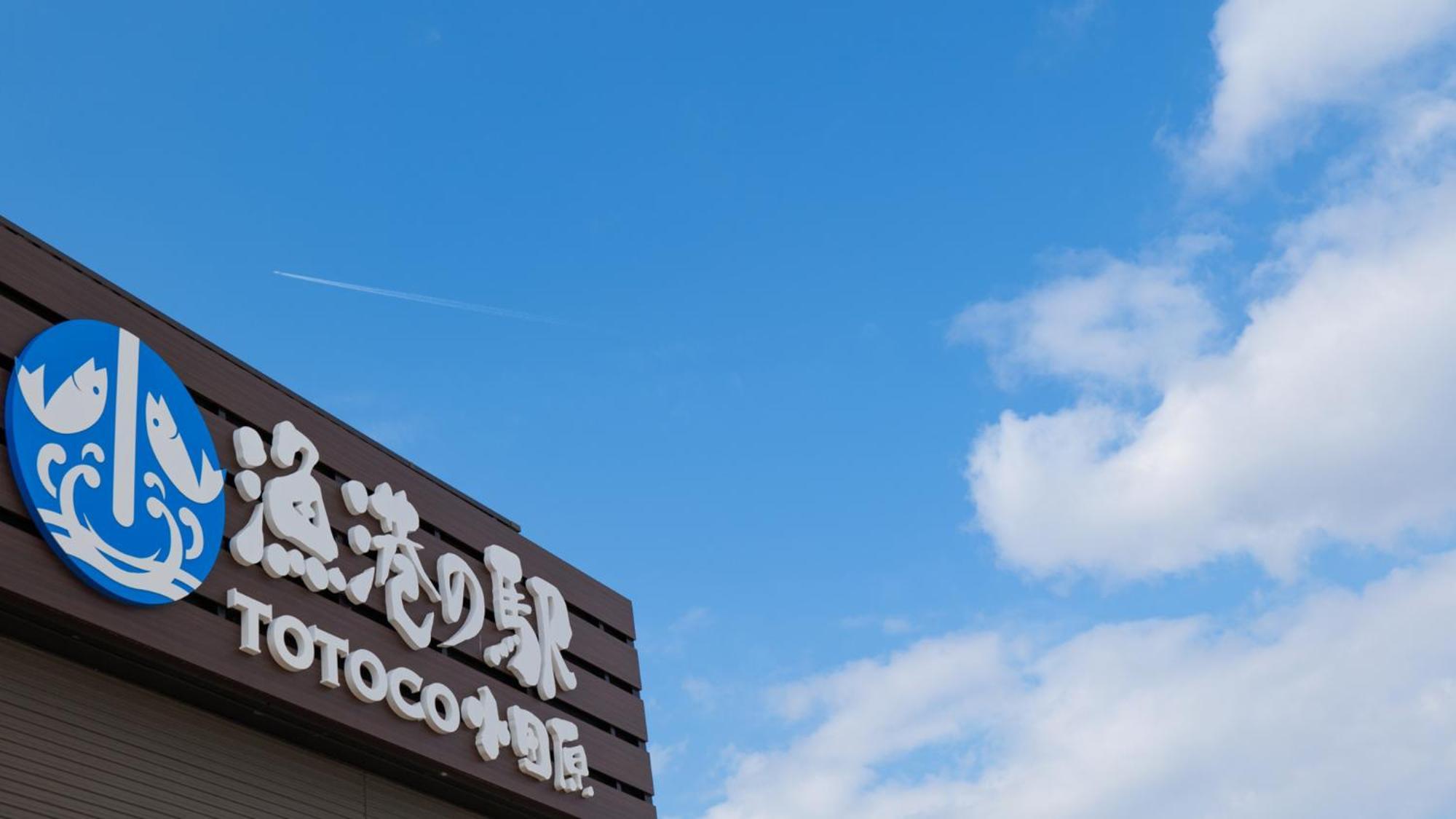 Toyoko Inn Odawara Eki Higashi Guchi Zewnętrze zdjęcie
